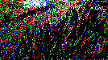 Visualizing the grass specular only.